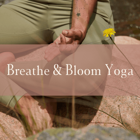 Breathe & Bloom Yoga: A Great Refresher