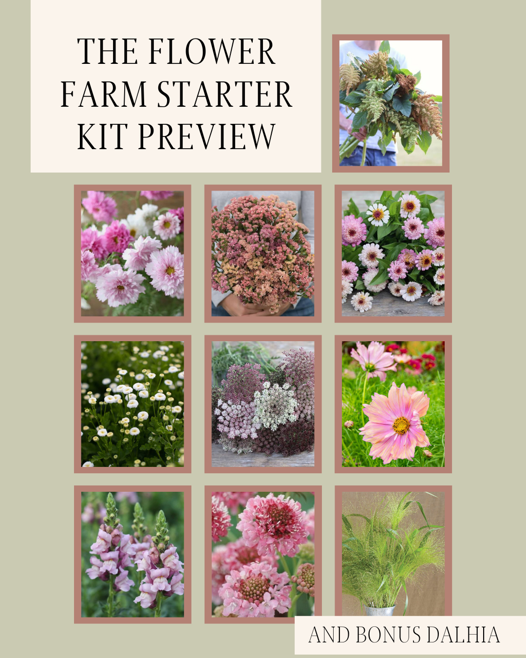 The Flower Farm Starter Kit
