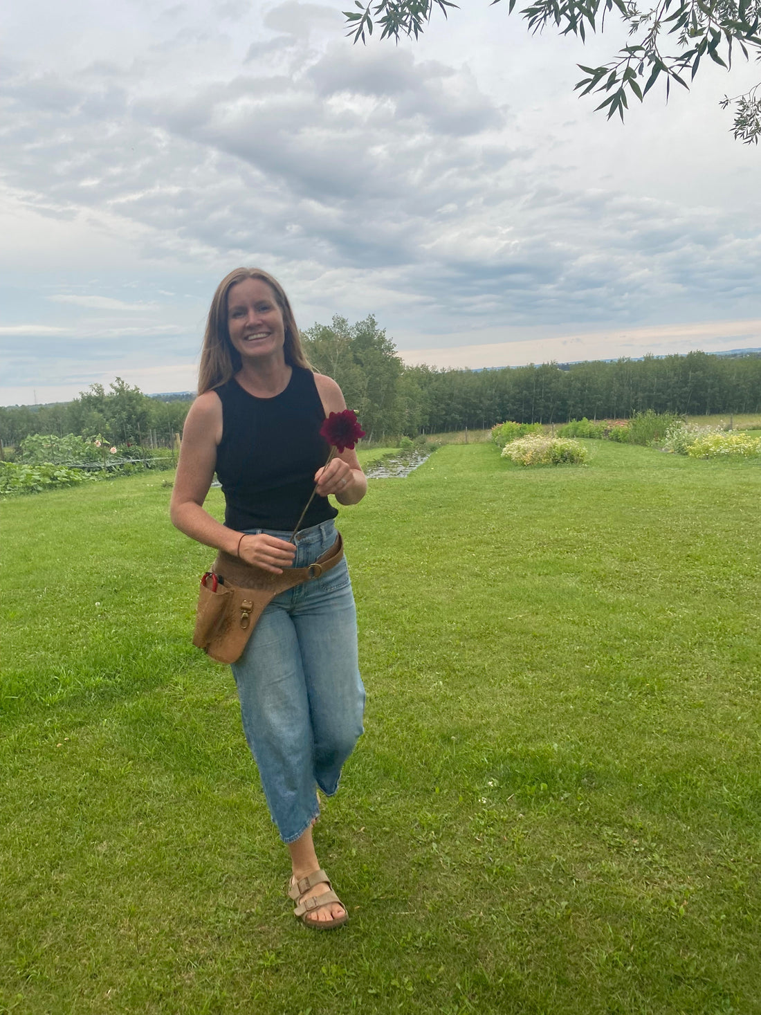 Free Cut Flower Guide (From Our Alberta Flower Farm to Your Garden)