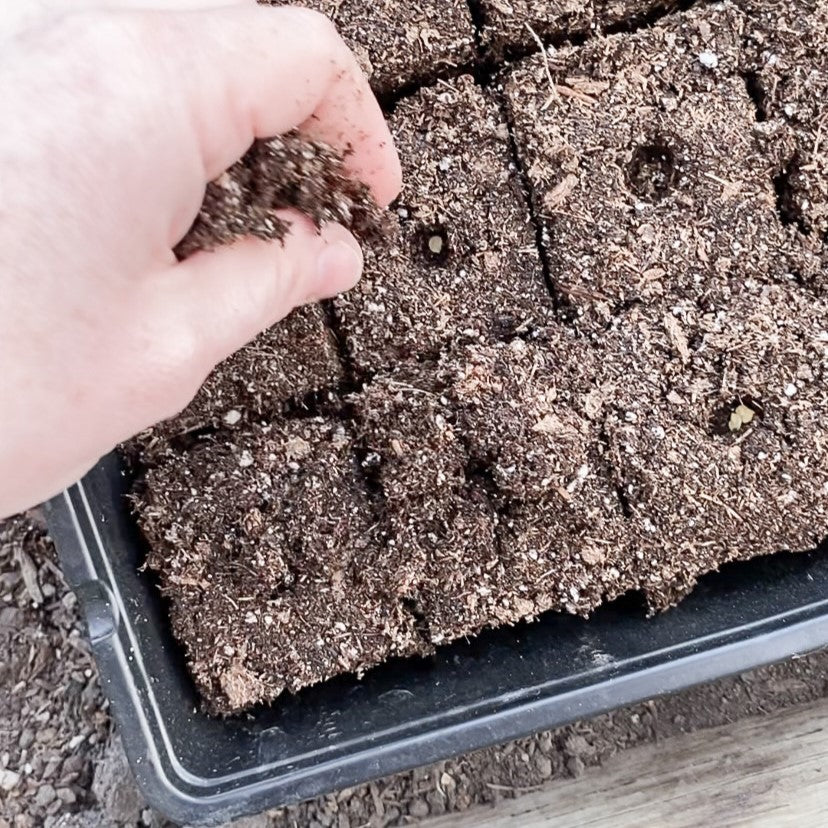 What is soil blocking?