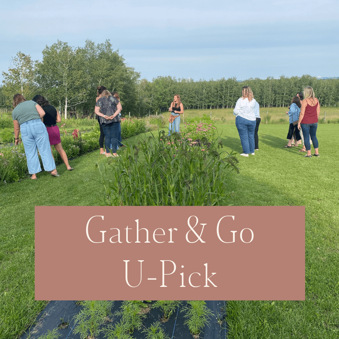 Gather & Go 'U-Pick'- September 7