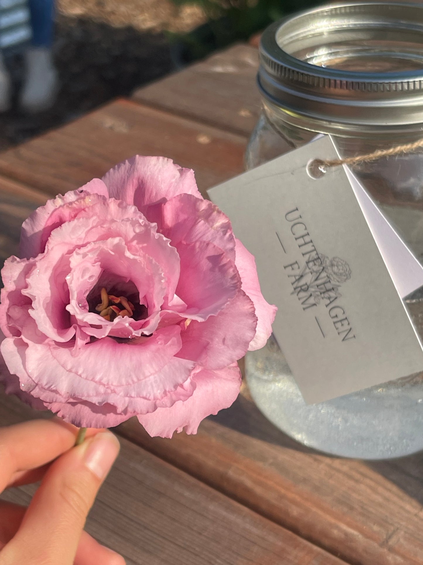 Gather & Go 'U-Pick'- September 7